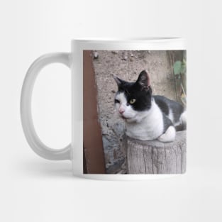 Cat Ragnar be careful Mug